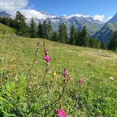 Village Paradis Çiftlik konaklama